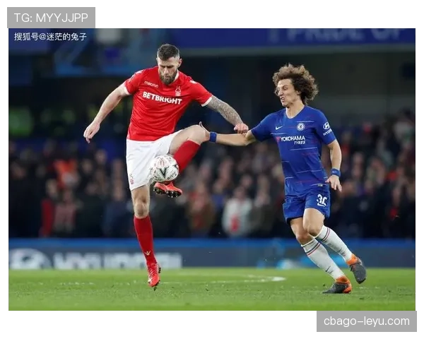 诺丁汉森林新赛季展望：变革中蓄势待发，剑指巅峰突破