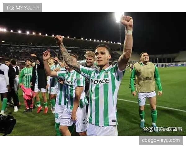 德甲转会市场热闹非凡，球队阵容大洗牌，主力球员频繁转会表现引发关注。